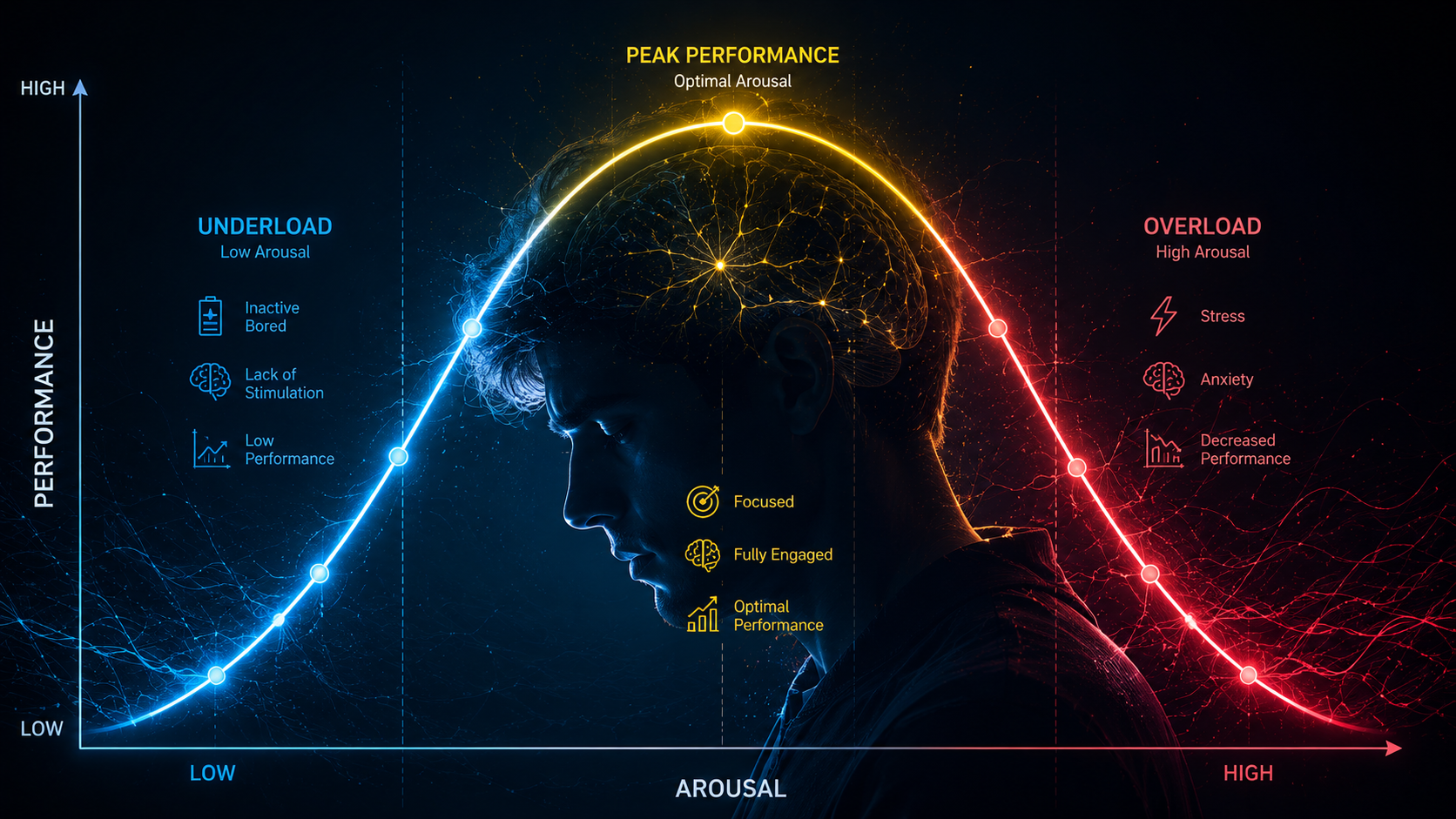 L’effet d’arousal : quand l’activation du cerveau module nos performances